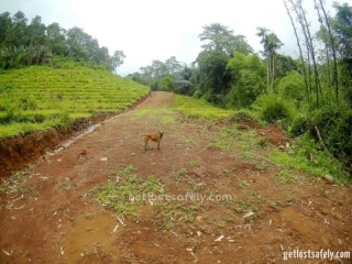 Jalan raya menuju ke Cunca Rami