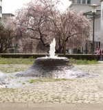 Fountain in Kassel